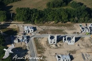 P1540950 2022 07 23 Allée Des Aigrettes